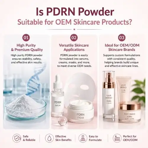 Is PDRN Powder Suitable for OEM Skincare Products?